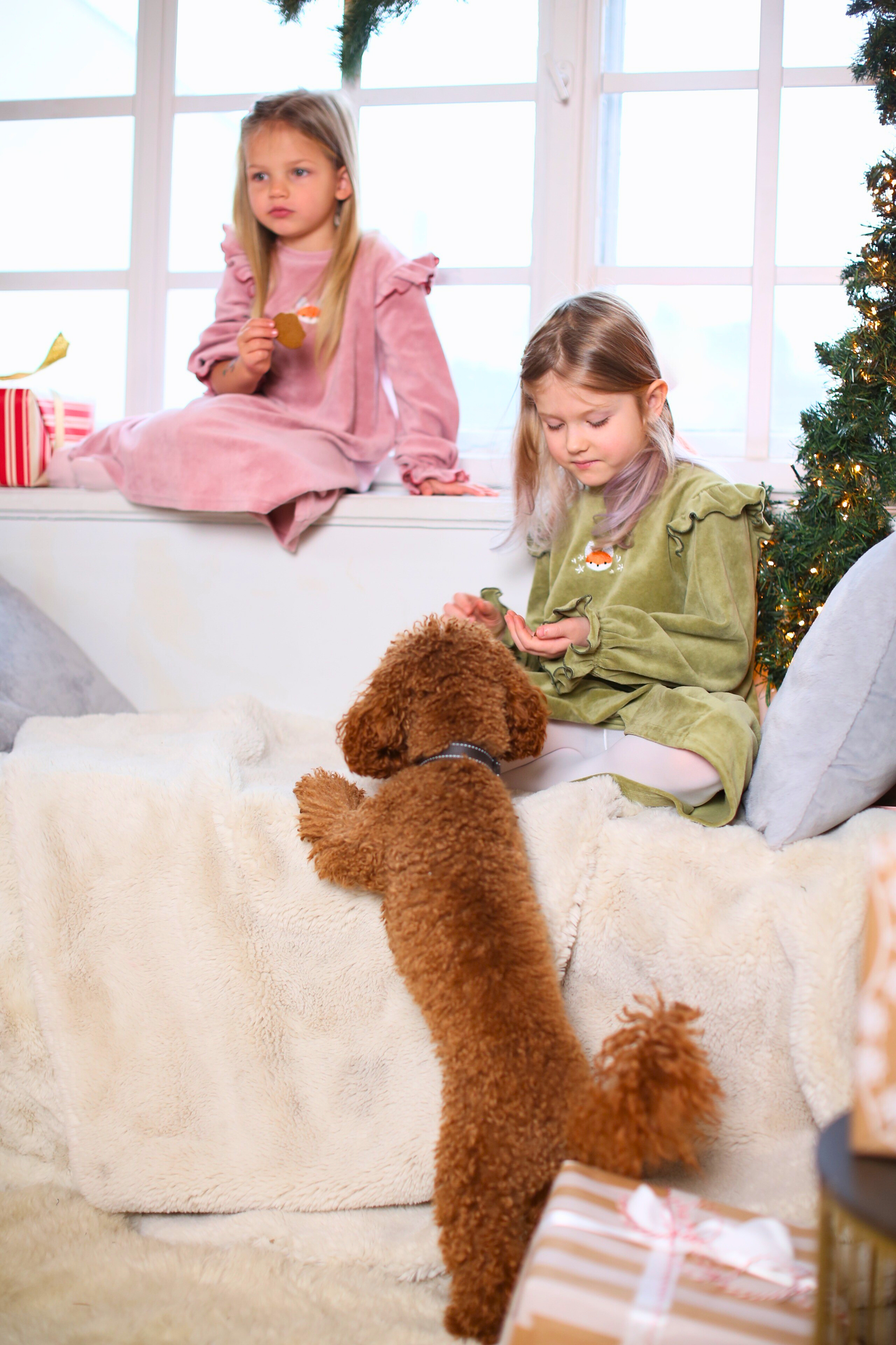 Rozā samta kleita ar Lapsas izšuvumu