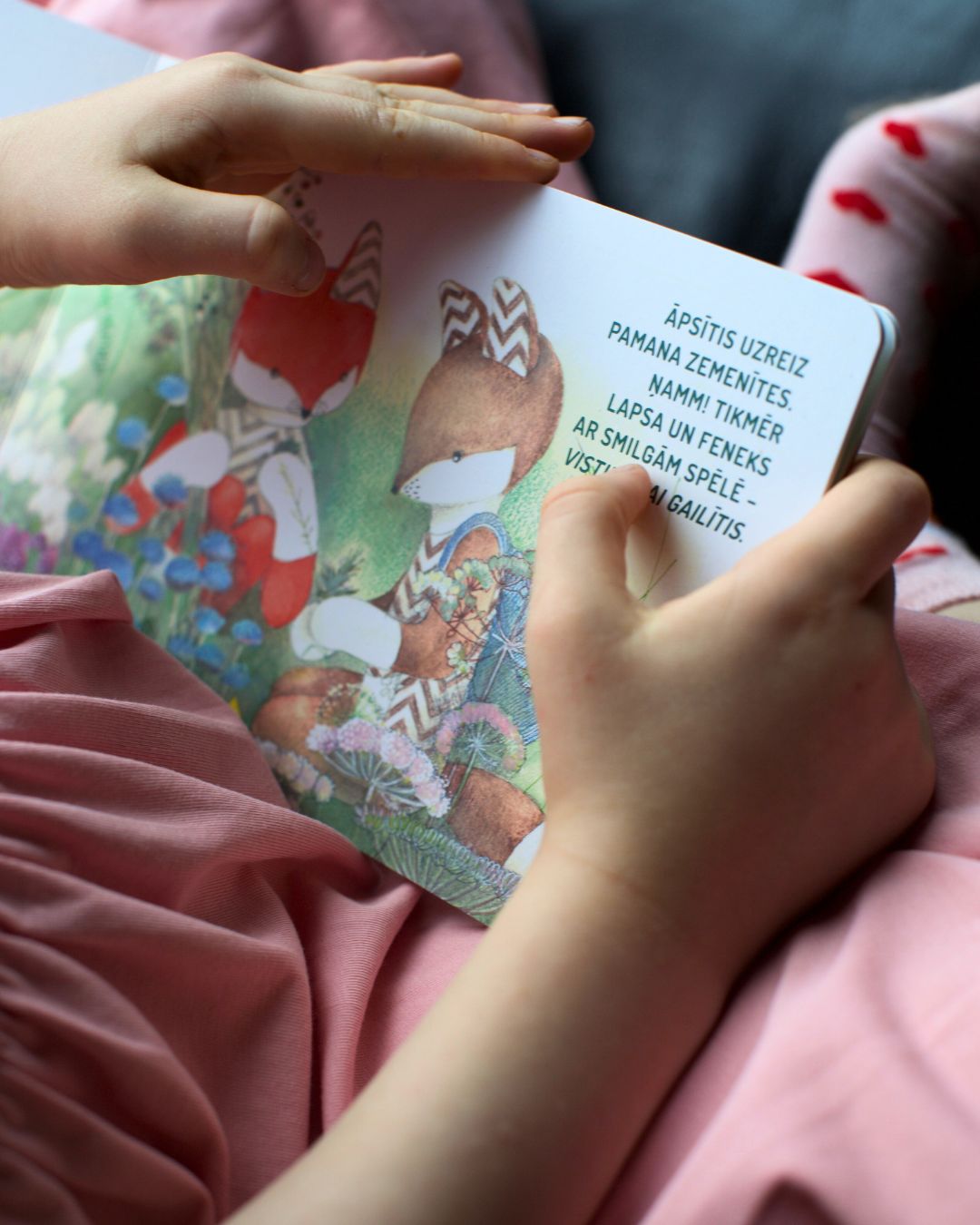 Picture book "Lapsa pļavā"