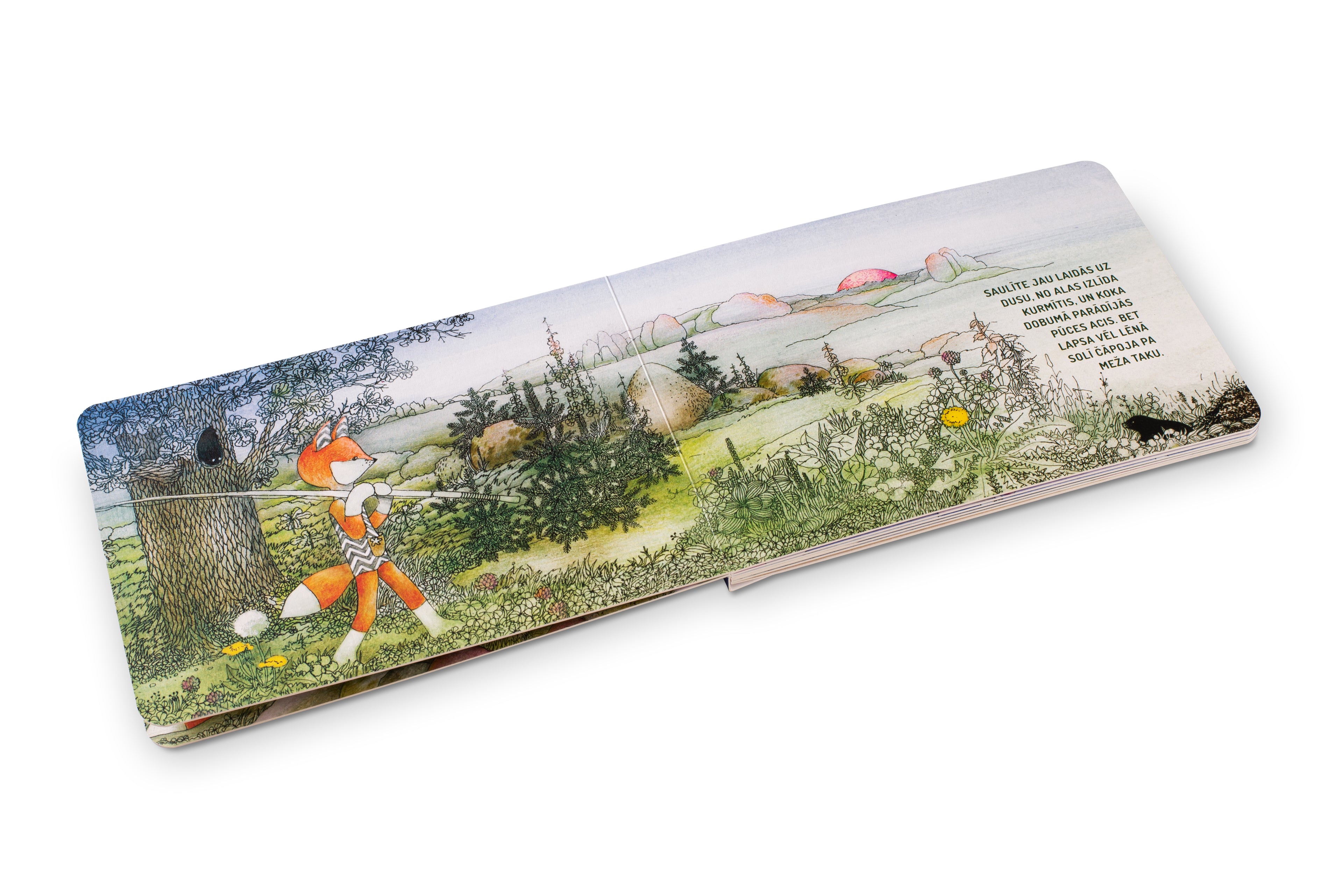 Picture book  "Lapsa iet čučēt"